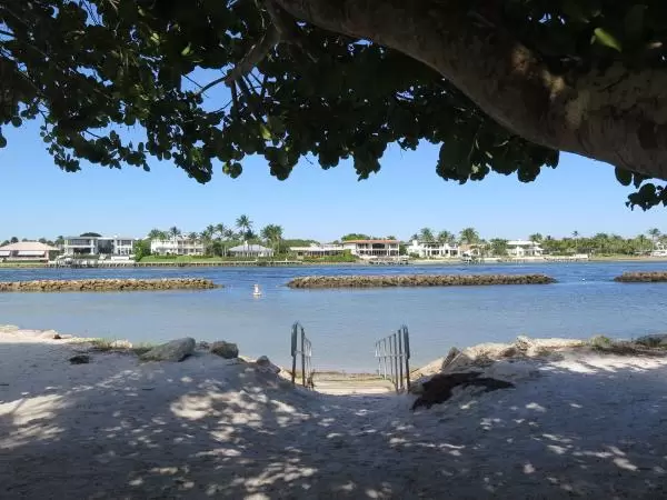 White sand speckled with shade. 
