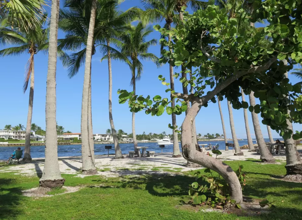 Vibrant colors of inlet, seagrape tree, lawn, and palms. 