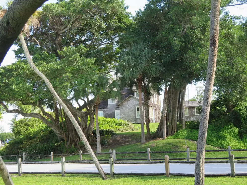 Banyan tree outside the DuBois Pioneer Home. 