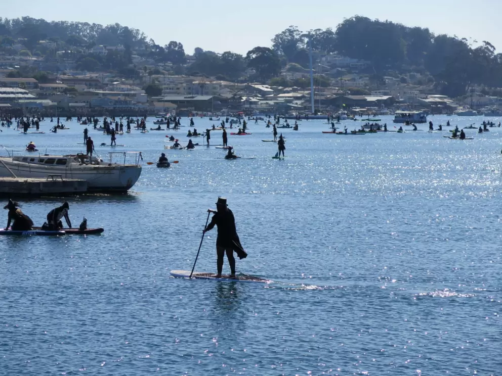 Warlock silhouetted against the dazzling water. 
