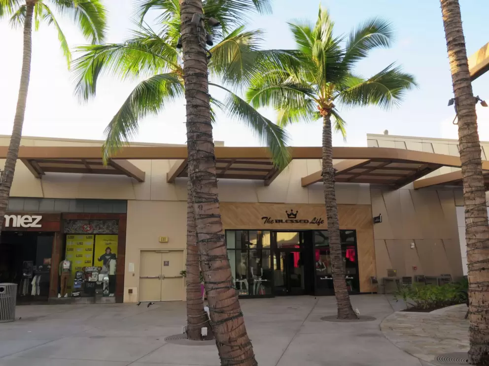 The Blessed Life store, and coconut trees. 
