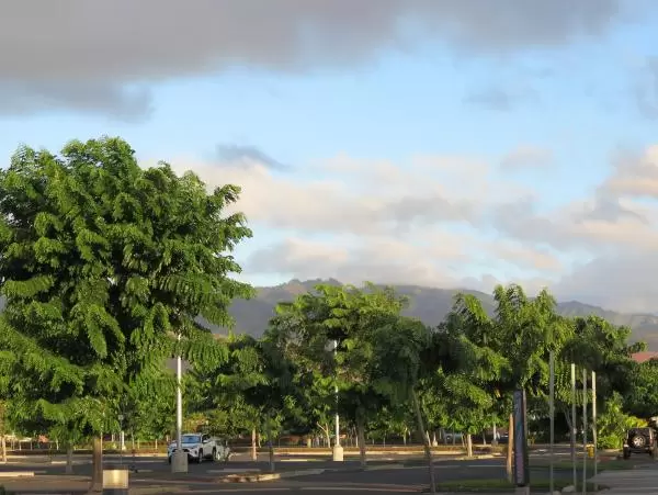 Trees and mountains, as seen from the parking lot. 