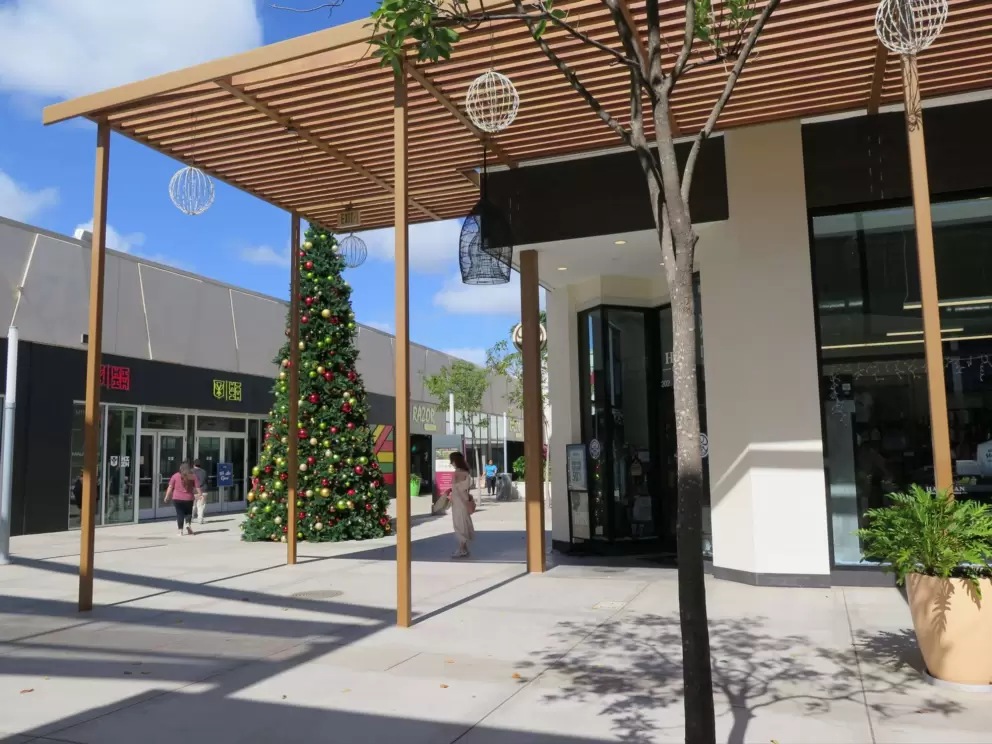 Large Christmas tree. 