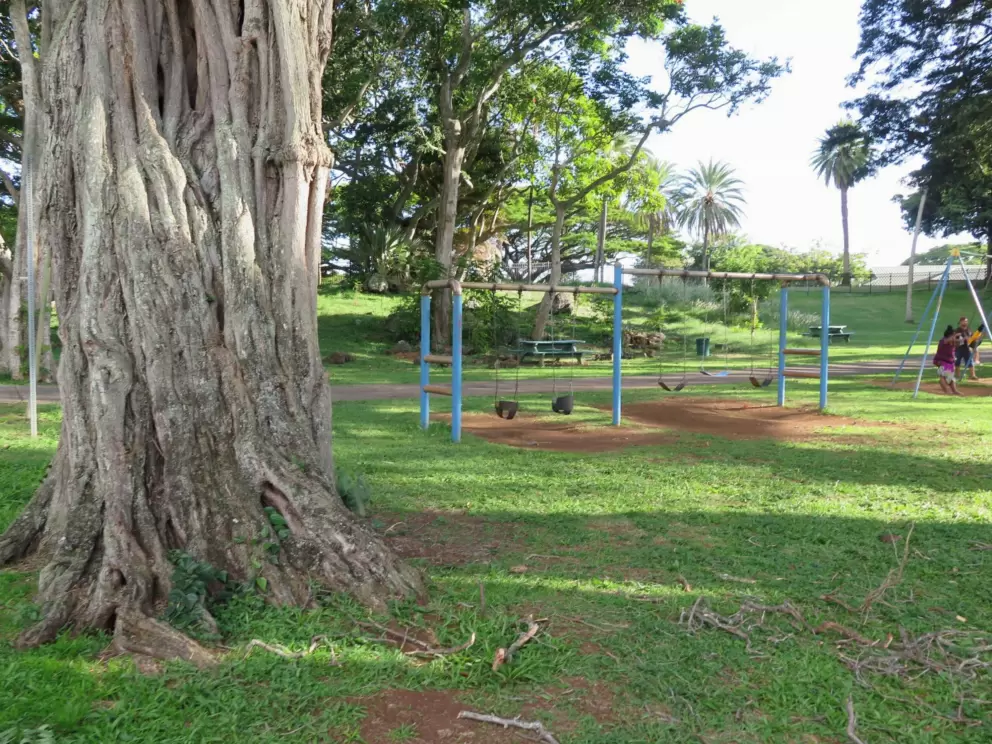 Swings and baby swings, where kids can look up at Mr. Tree while swinging. 