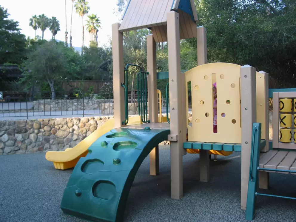 The playground and palm trees behind.