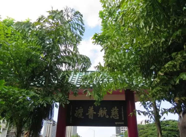 Fishtail palms outside Kuan Yim Temple. 