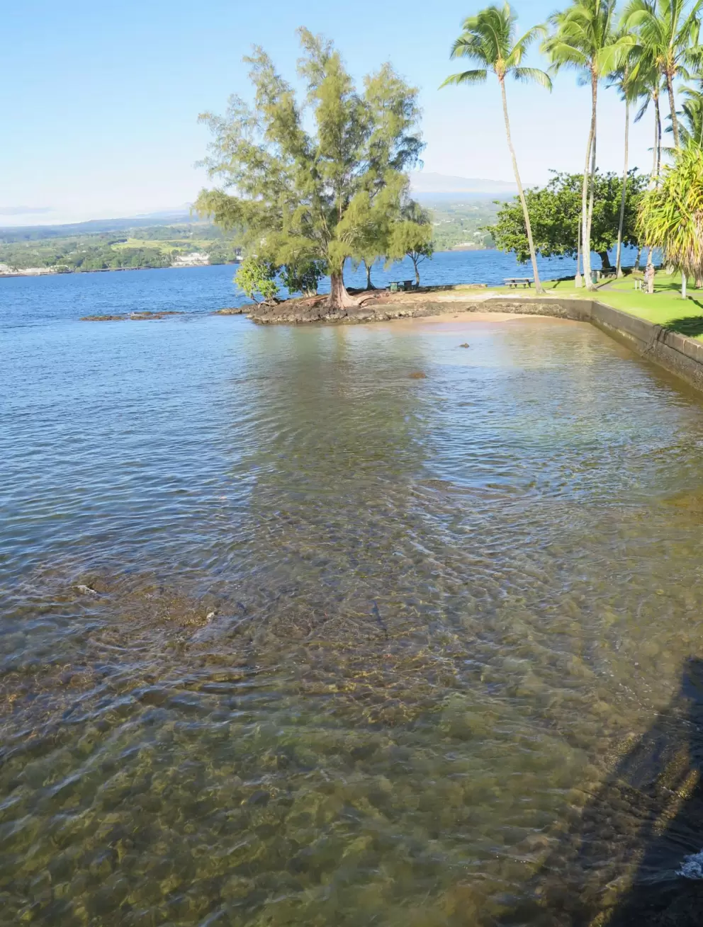 A nice place to swim. 