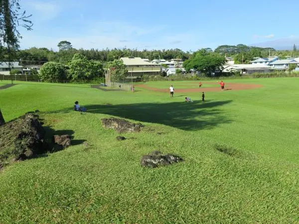 Sitting in the shade of the tree, by the baseball diamond. 