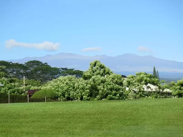 Views of Mauna Kea and tropical trees. 