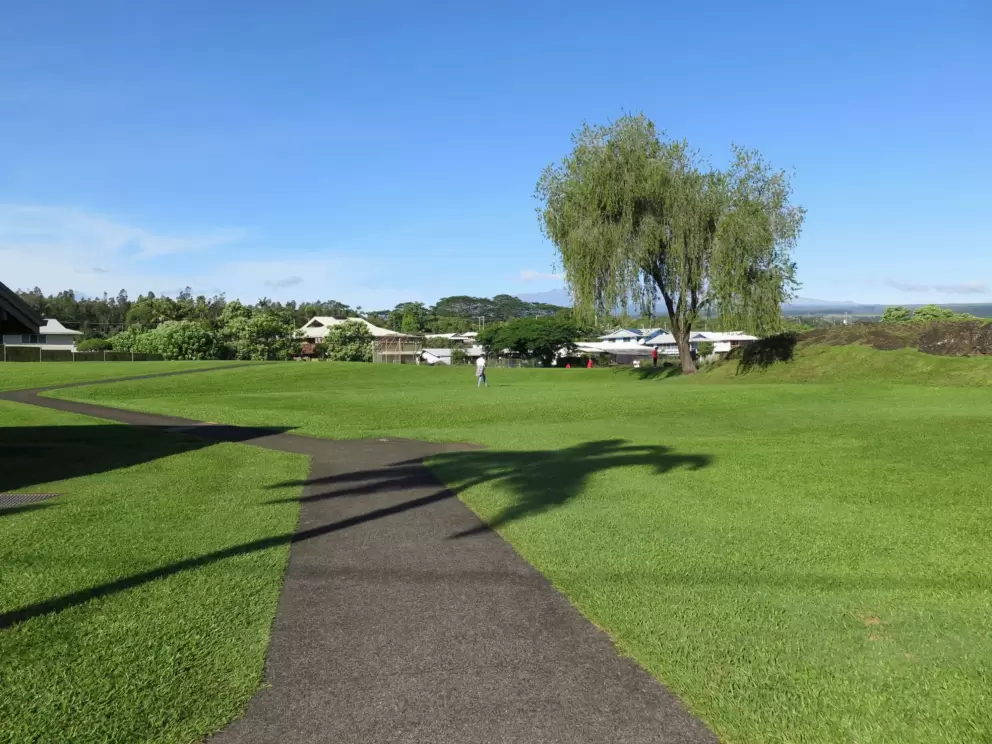 The walking path. 