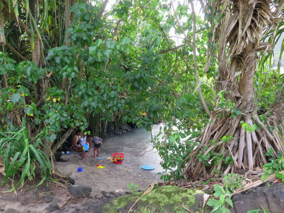 A little cove that is perfect for kids. 