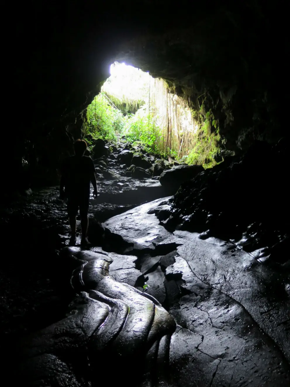 The velvety goo of the lava that formed into rock. 