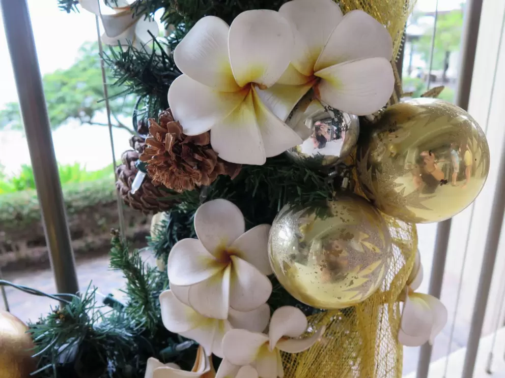 Plumeria Christmas decorations in the lobby! Joy! At the end of November. 