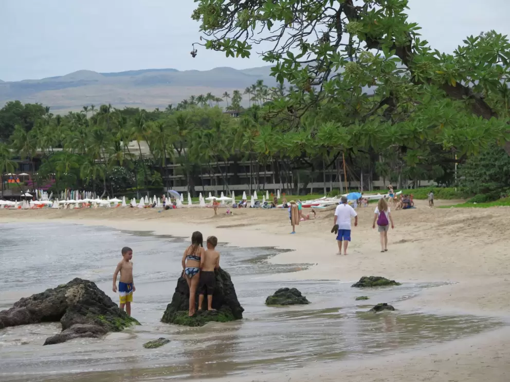 Kids playing at the shore. 