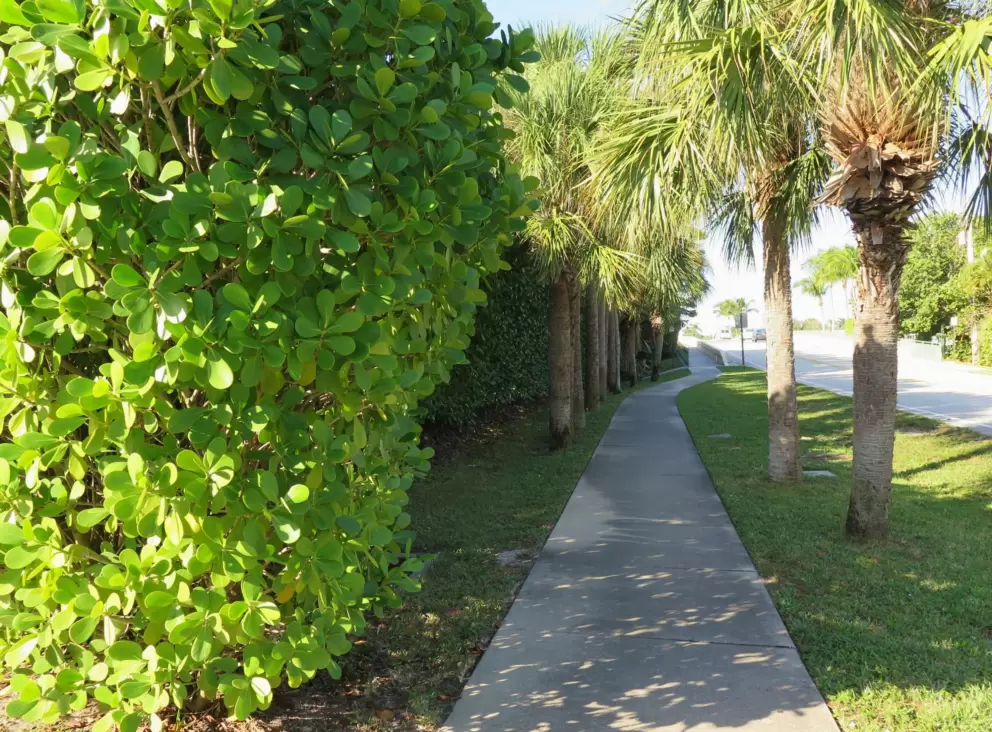 Walking along Tequesta Drive to Tequesta Bridge. 