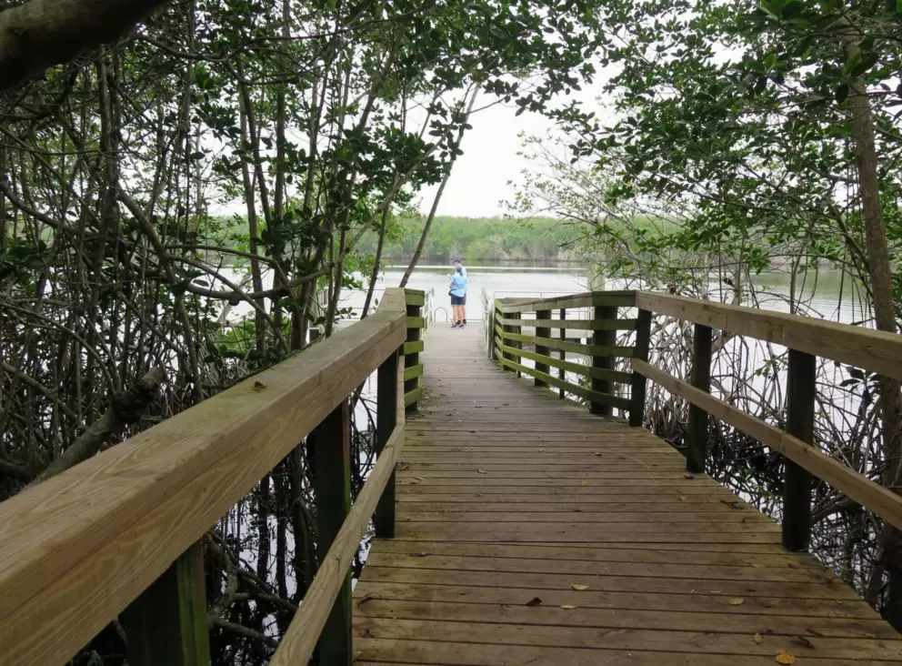 You arrive at the river at the end of the boardwalk!
