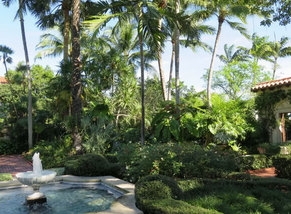Fountain and coconut trees. 
