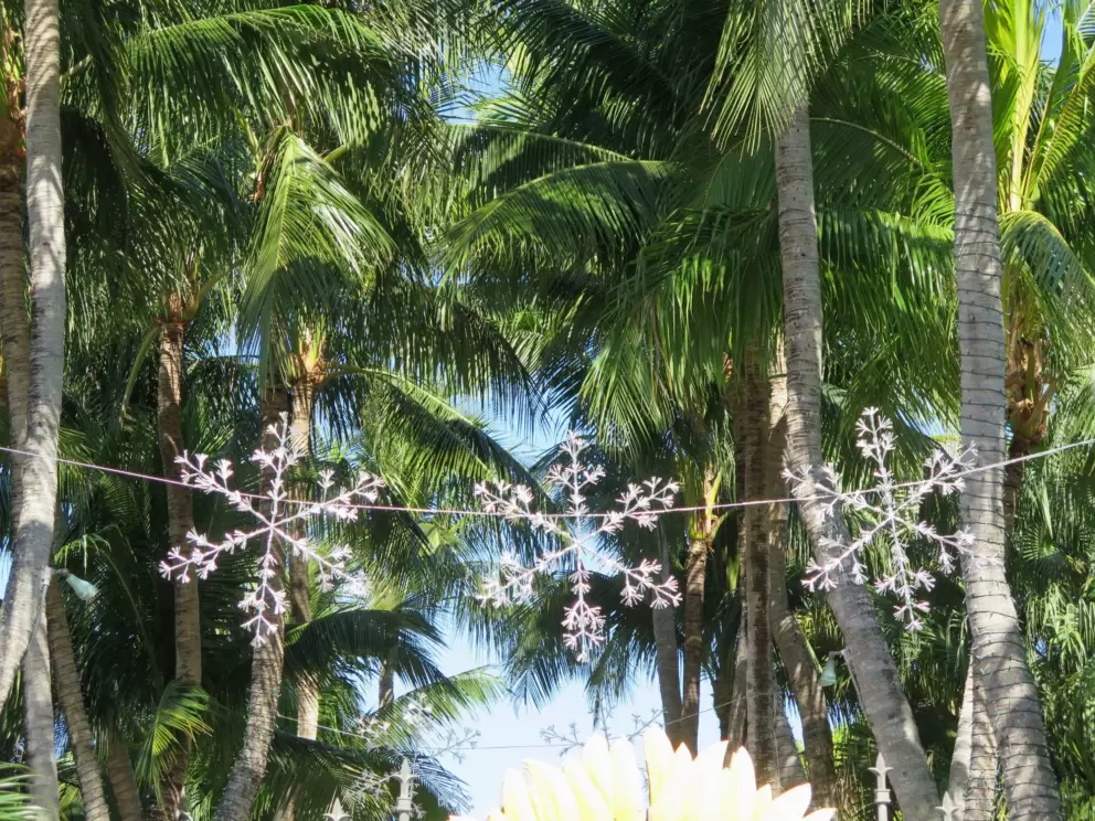 Christmas snowflake decorations strung between coconut trees. 