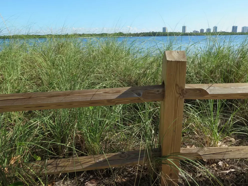 Fence and grasses, with blue water behind. 