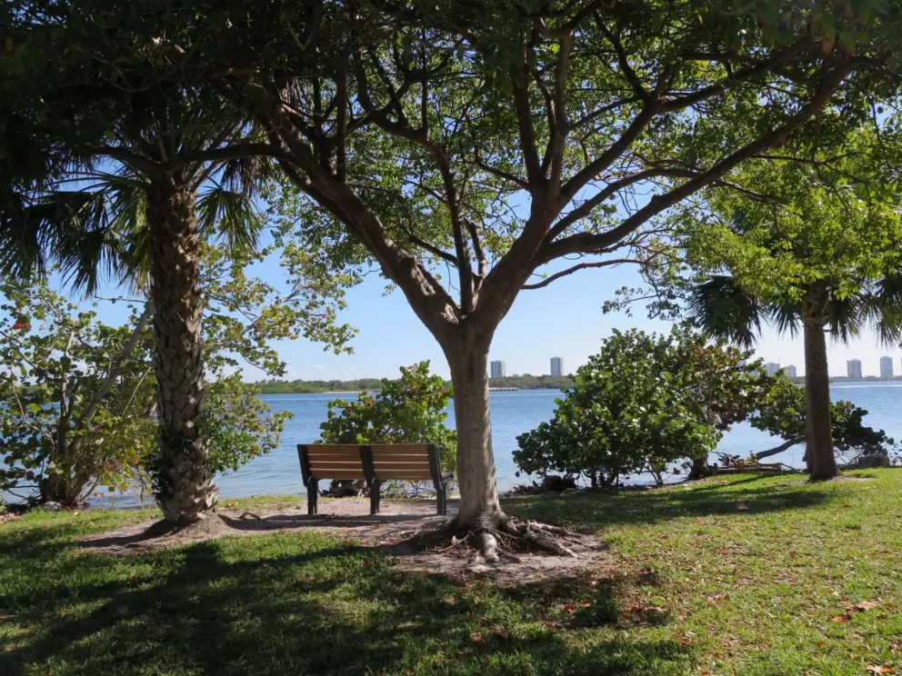Bench by the water. 