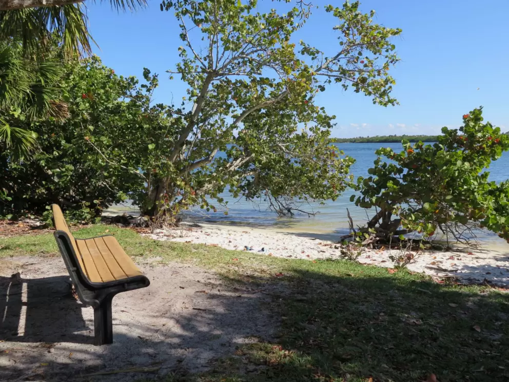 A bench by the white river beach. 