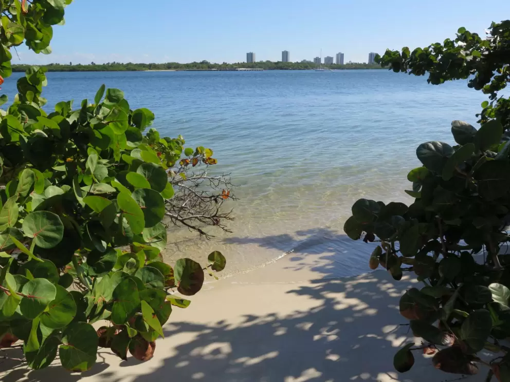 Shady spot on the white sand. 
