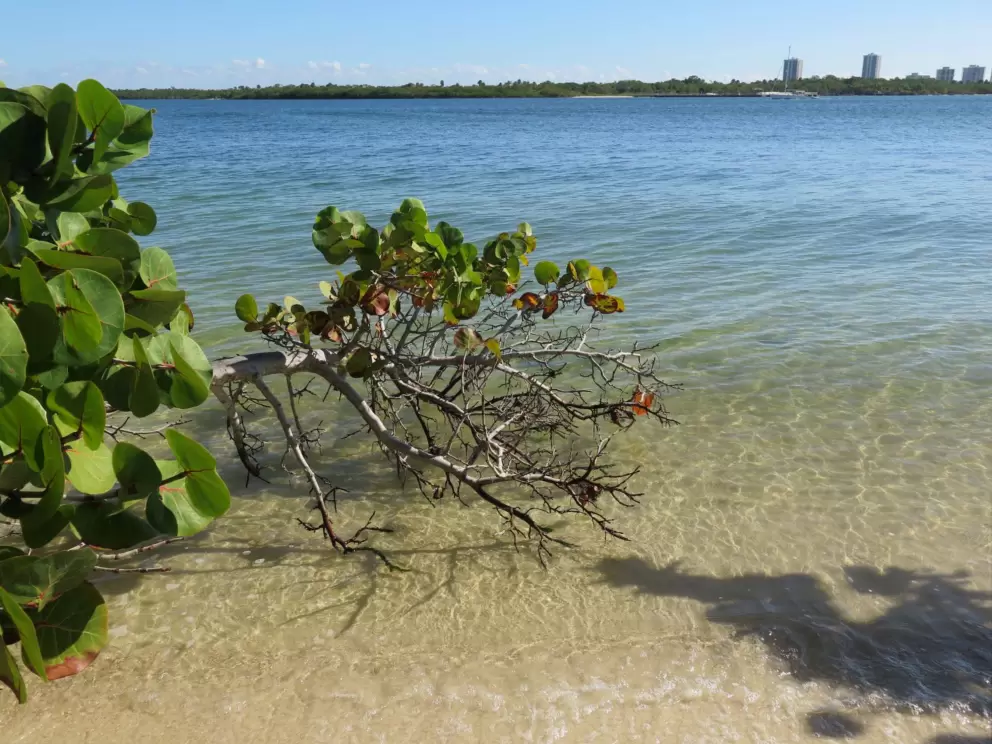 Crystal clear water and Singer Island in the distance. 