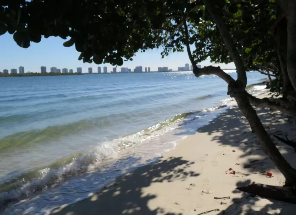 The highrises of Singer Island in the distance. 