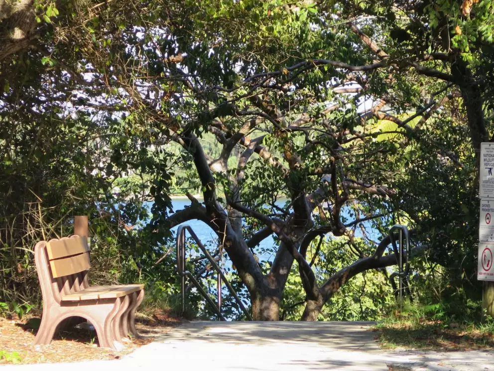 Bench at the top of the stairs to the beach. 
