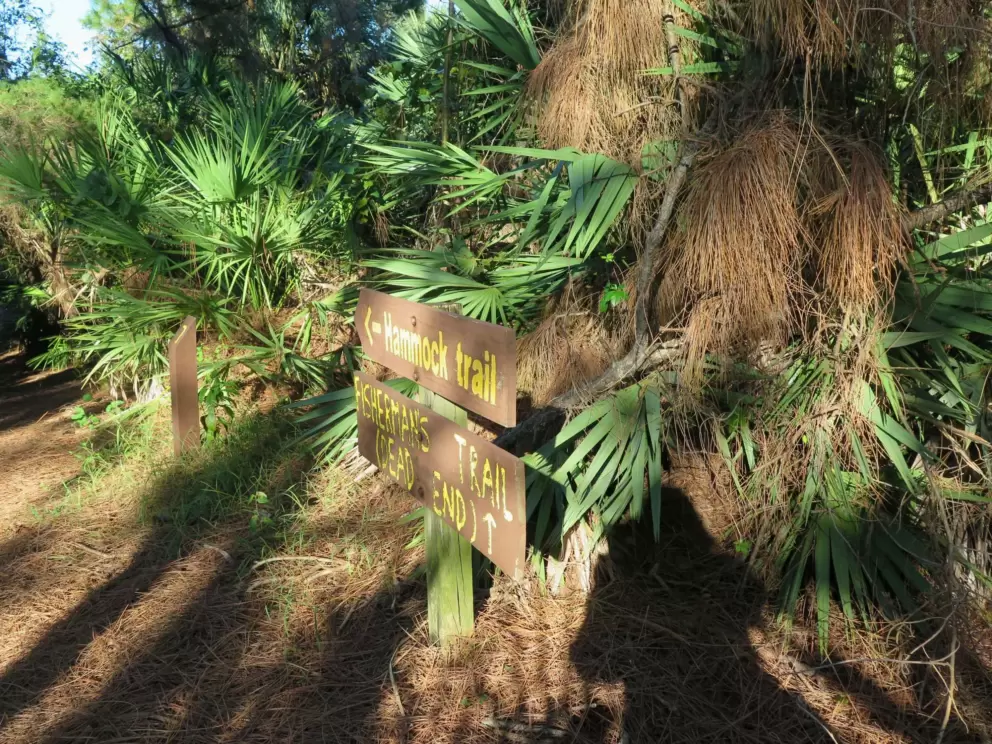 Signs showing you the way. 