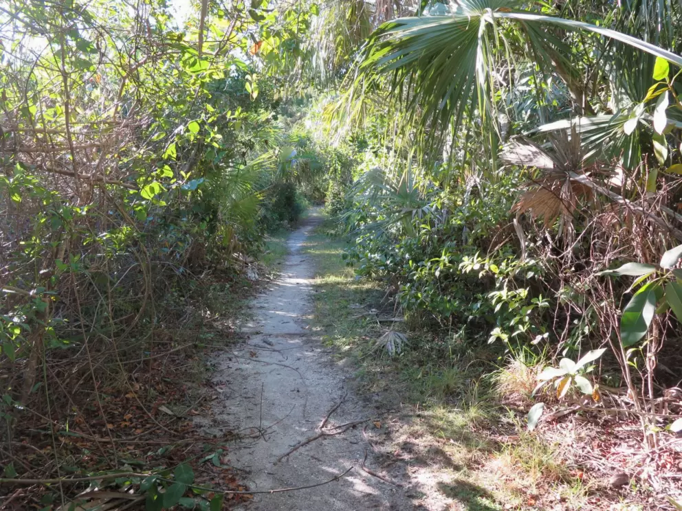 A narrow section of path. 