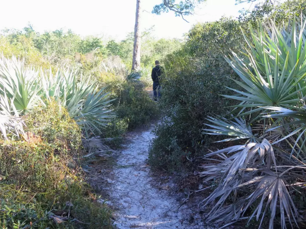 A hiker on the path. 