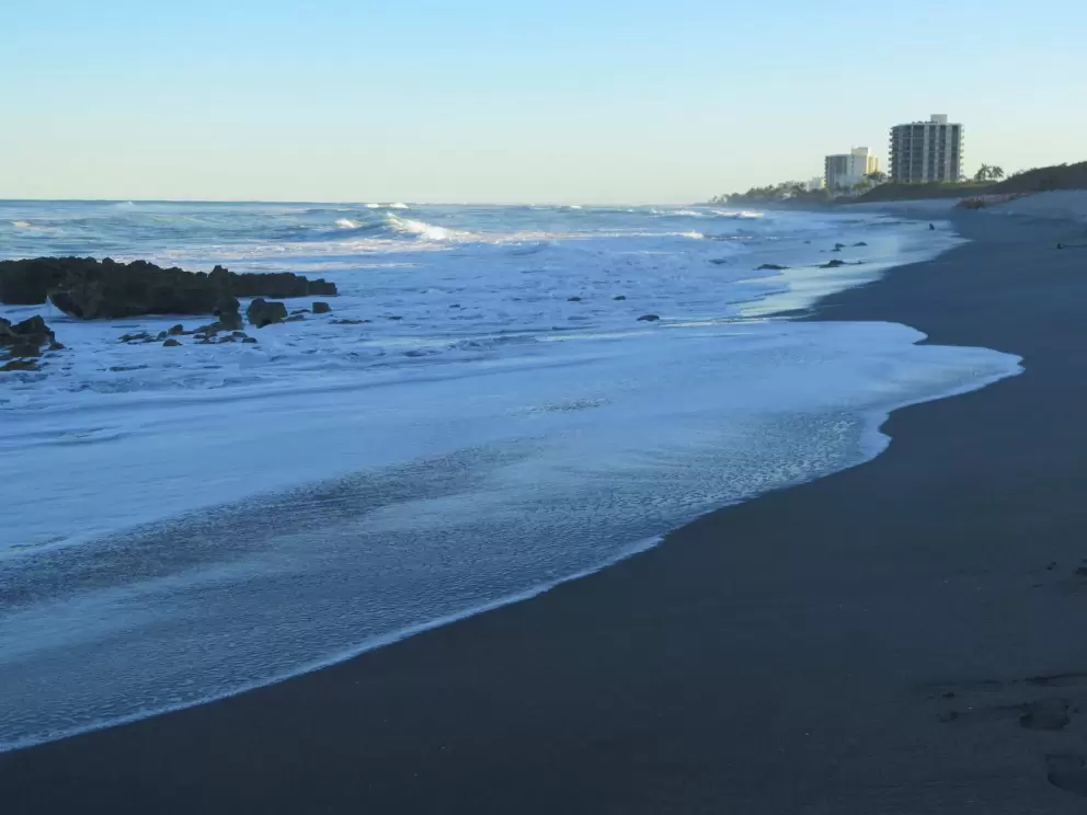 The long beach. 