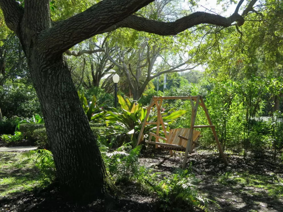 Swinging bench under a tree. 