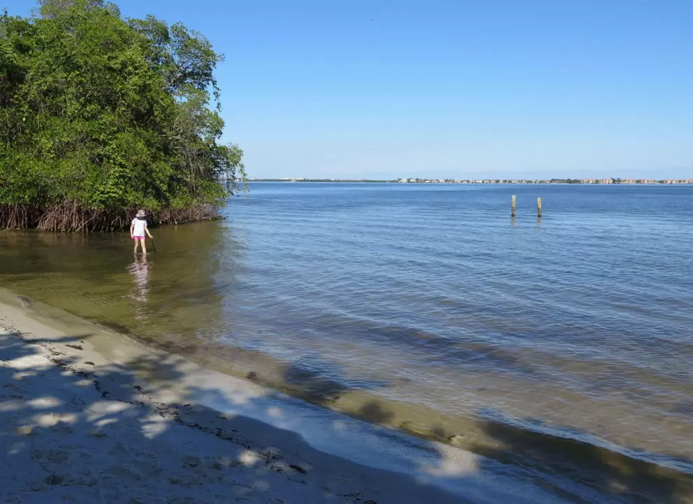A girl wades in the water. 