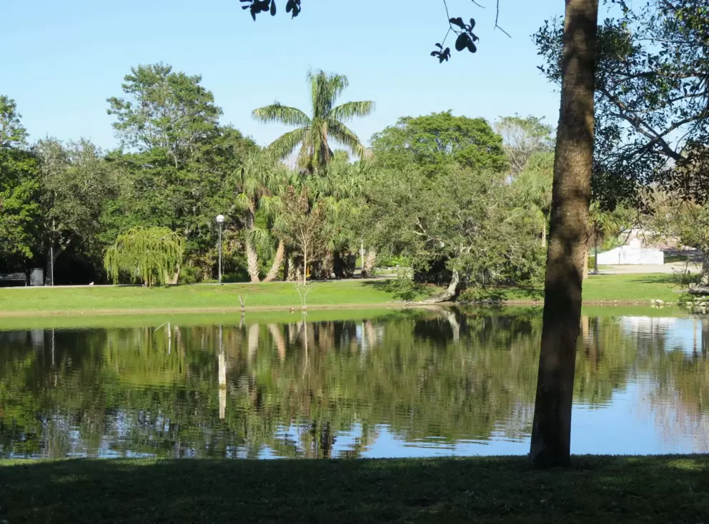 Glassy pond. 