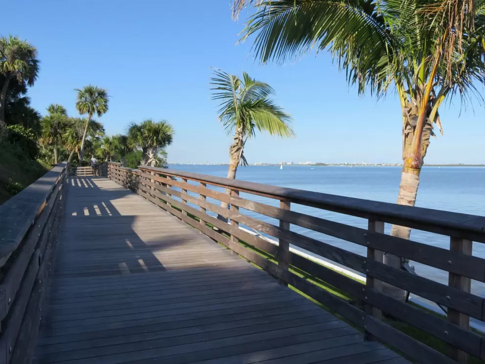 The shady boardwalk. 