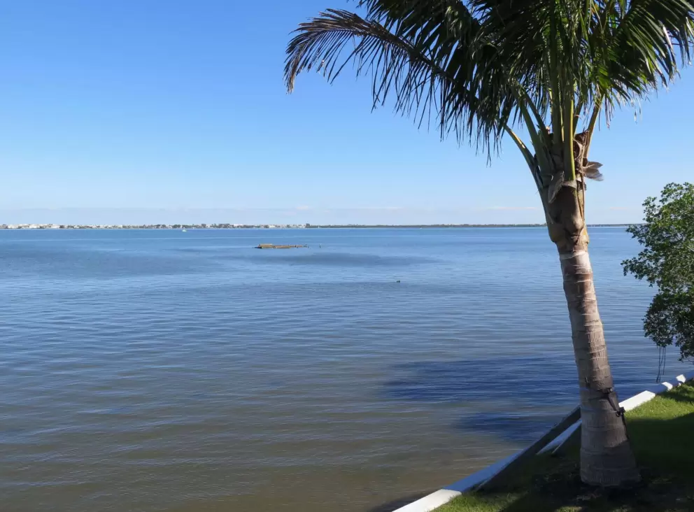 Tranquil view. 