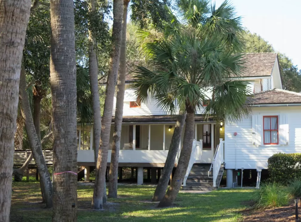 Sewall's house and cabbage palms.