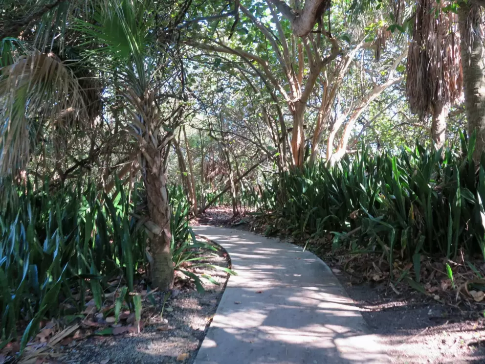 Winding path in the park. 
