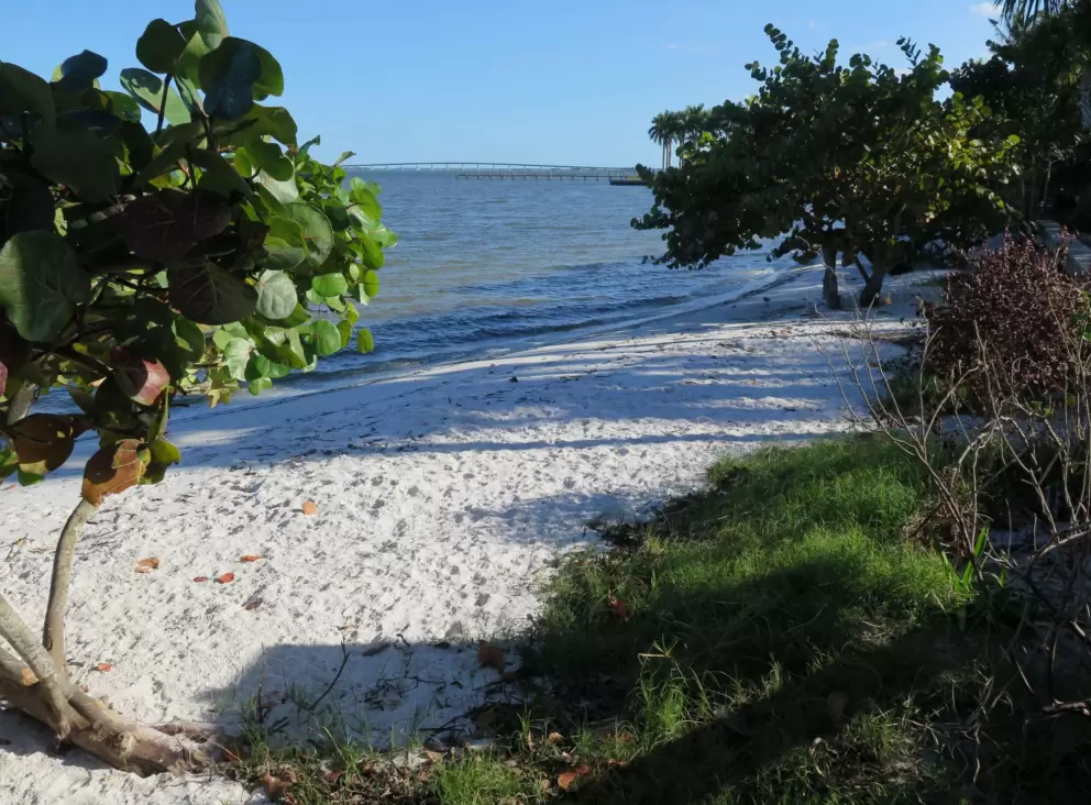 The white sand.