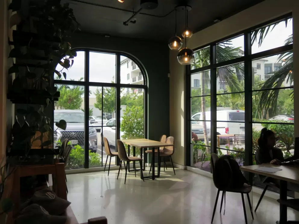 Tropical landscaping outside big windows at Common Grounds Brew in Casa Mara. 