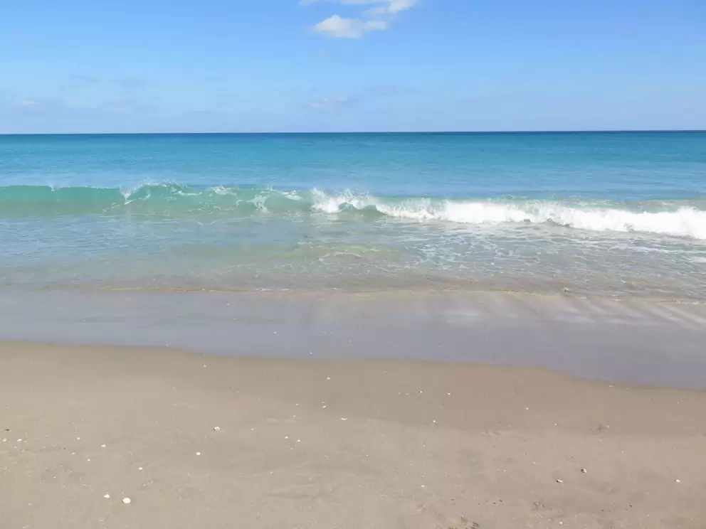 A gorgeous clear wave!