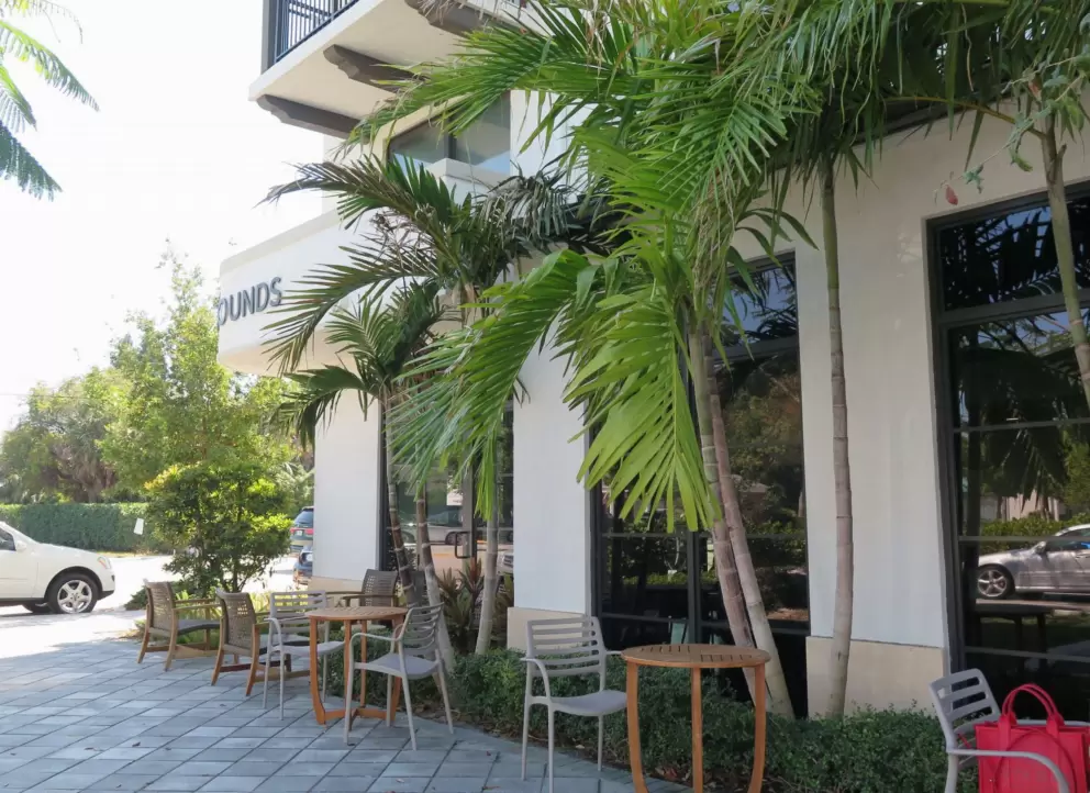 Outdoor seating with skinny palms, at Common Grounds Brew. 