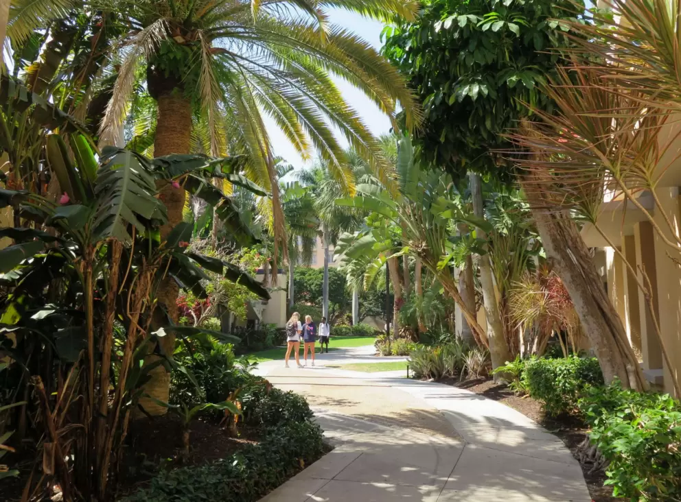 Tropical wonderland!
