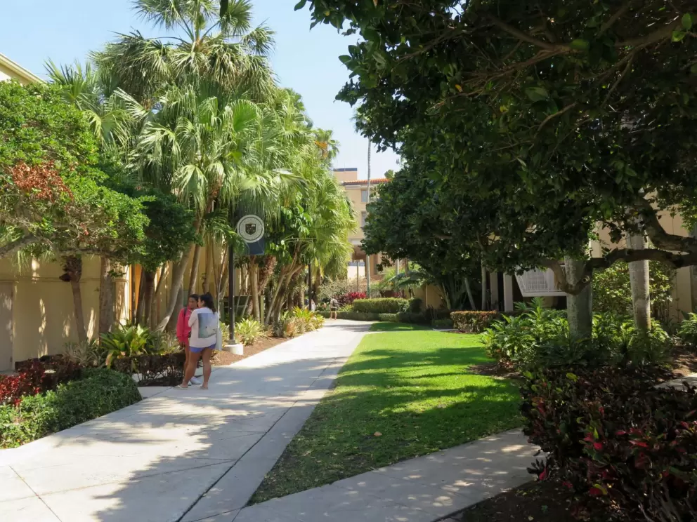 Walkways. 