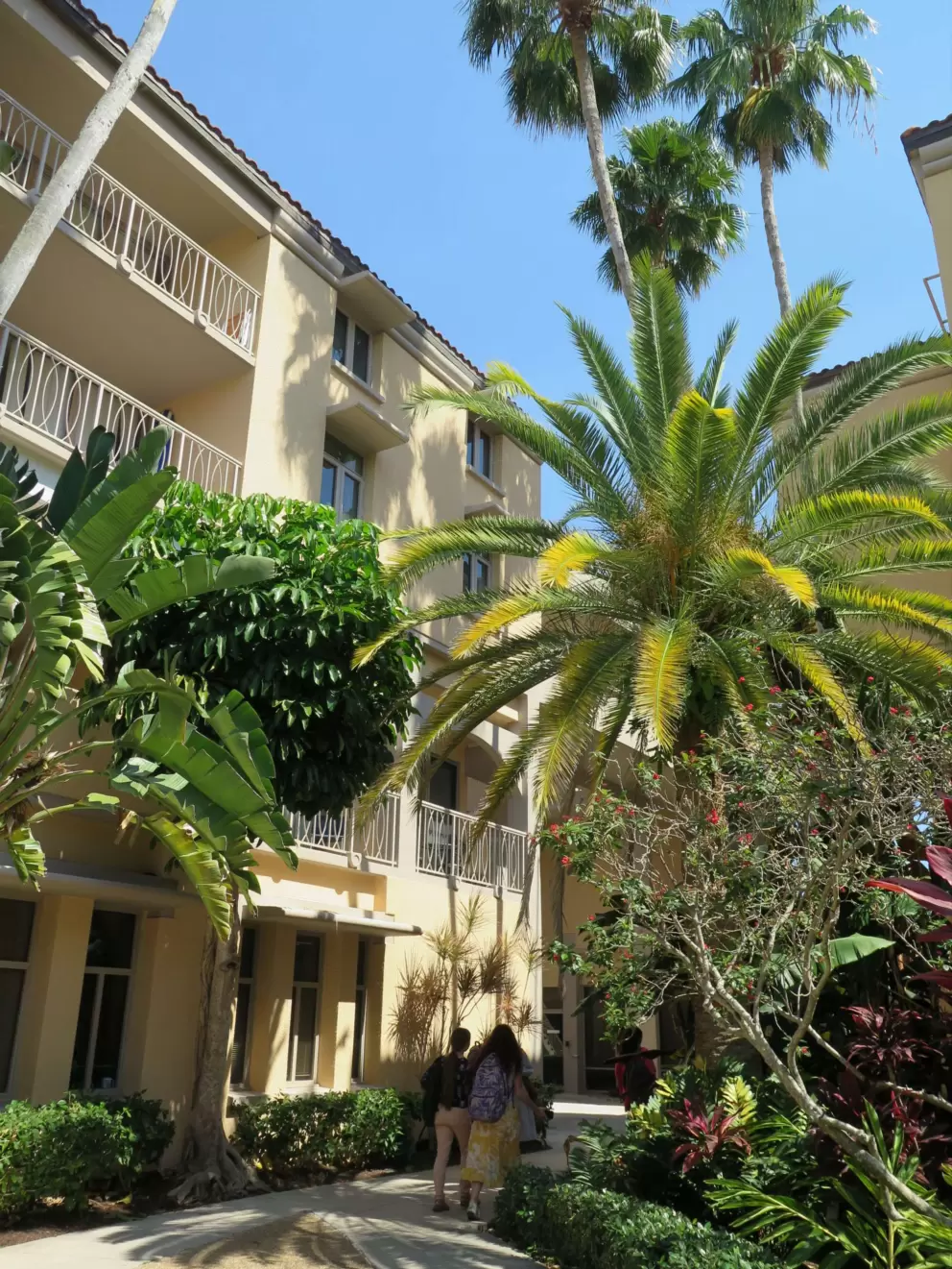 I love the healthy banana trees and palms. 