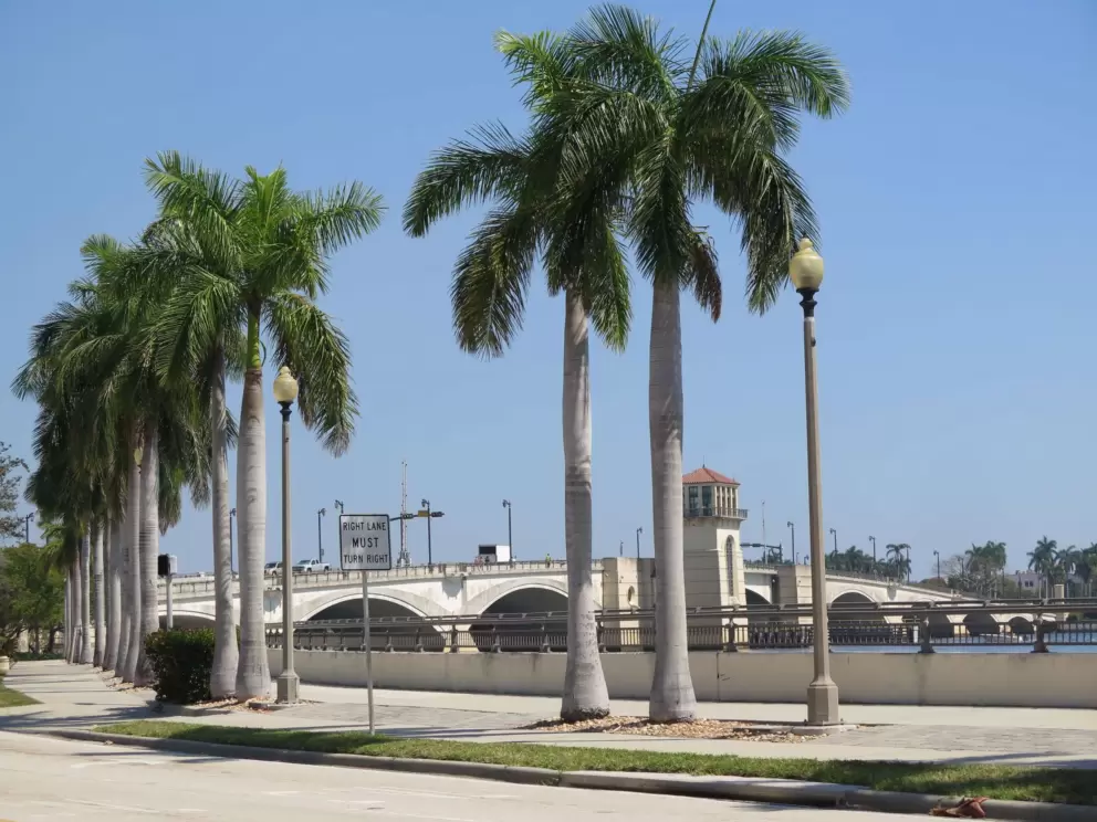 The bridge over the intracoastal, as seen from the edge of campus. 