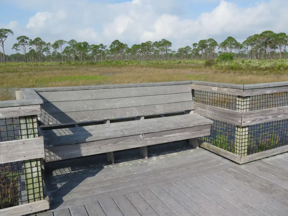 Bench on the boardwalk. 