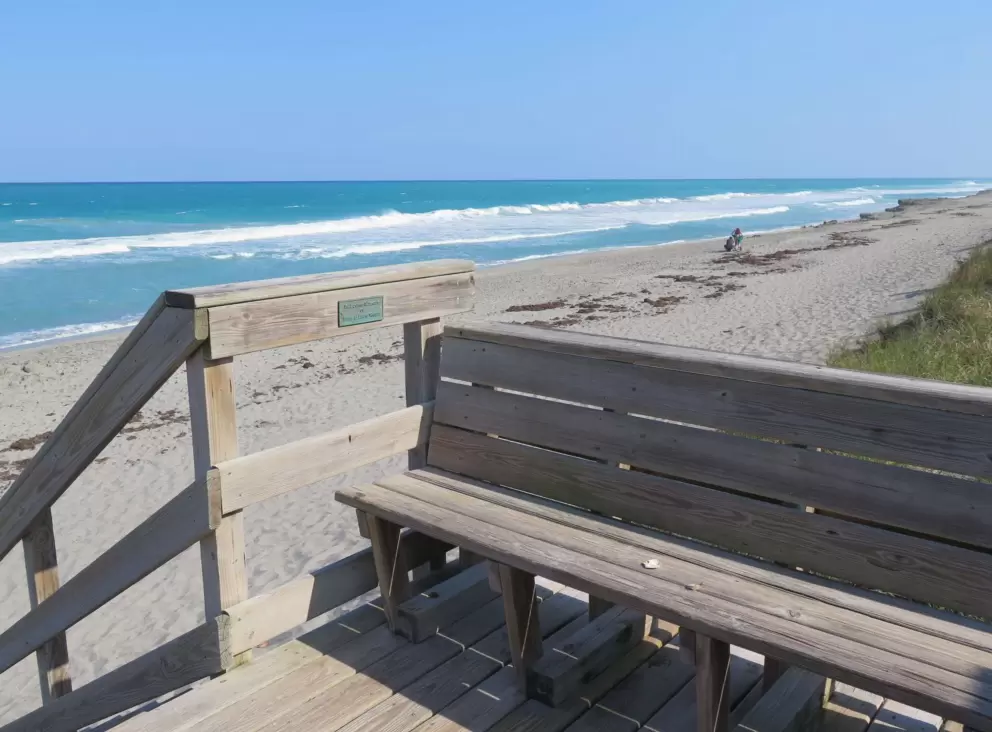 Bench with a view. 